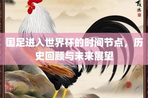 国足进入世界杯的时间节点，历史回顾与未来展望