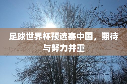 足球世界杯预选赛中国，期待与努力并重