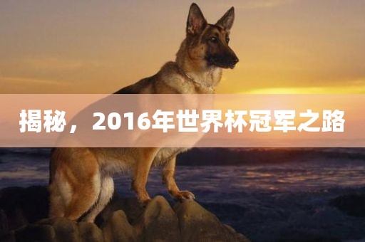 揭秘，2016年世界杯冠军之路