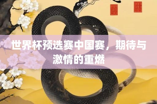 世界杯预选赛中国赛，期待与激情的重燃丹东日丰电子有限公司