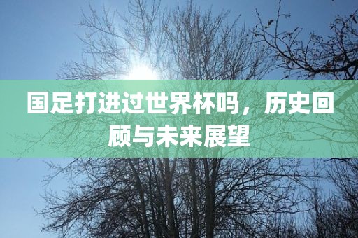 国足打进过世界杯吗，历史回顾与未来展望丹东日丰电子有限公司