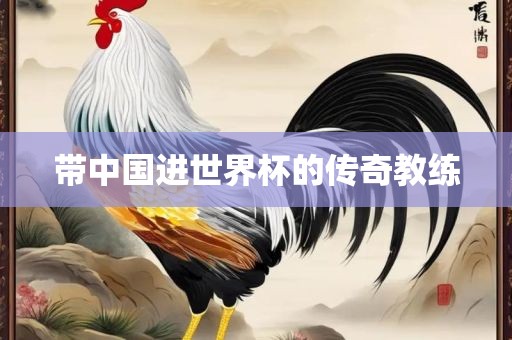 带中国进世界杯的传奇丹东日丰电子有限公司教练