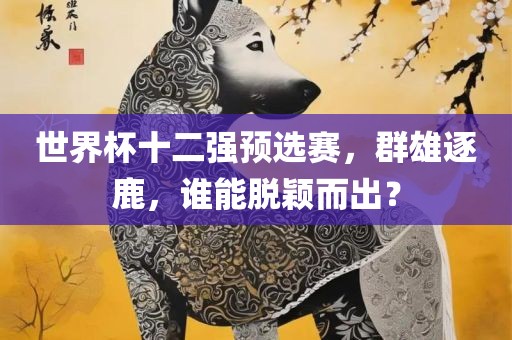 世界杯十二强预选赛，群雄逐鹿，谁能脱颖而出？