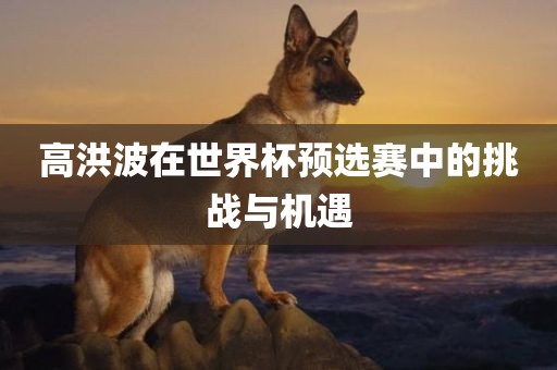 高洪波在世界杯预选赛中的挑战与机遇丹东日丰电子有限公司