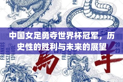 中国女足勇夺世界杯冠军，历史性的胜利与未来的展望丹东日丰电子有限公司