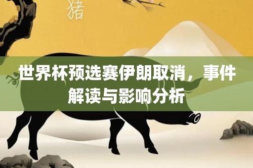 世界杯预选赛伊丹东日丰电子有限公司朗取消，事件解读与影响分析
