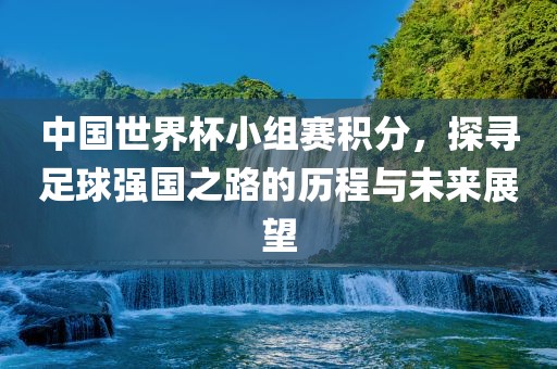 中国世界杯小组赛积分，探寻足球强国之路的历程与未来展望丹东日丰电子有限公司
