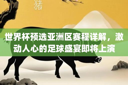 世界杯预选亚洲区赛程详解，激动人心的足球盛宴即将上演丹东日丰电子有限公司