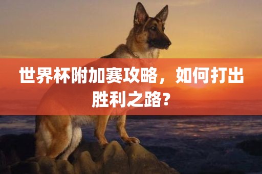 世界杯附加赛攻略，如何打出胜利之路？