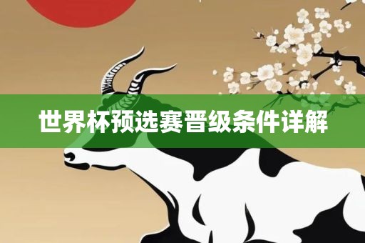 世界杯预选赛晋级条件详解丹东日丰电子有限公司
