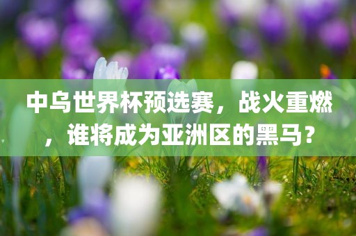 中乌世界杯预选赛，战火重燃，谁将成为亚洲区的黑马？丹东日丰电子有限公司