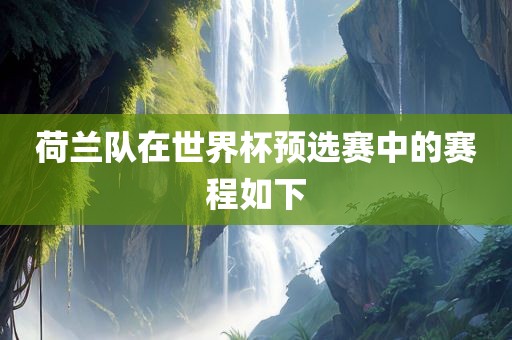荷兰队在世界杯预选赛中的赛程如下丹东日丰电子有限公司