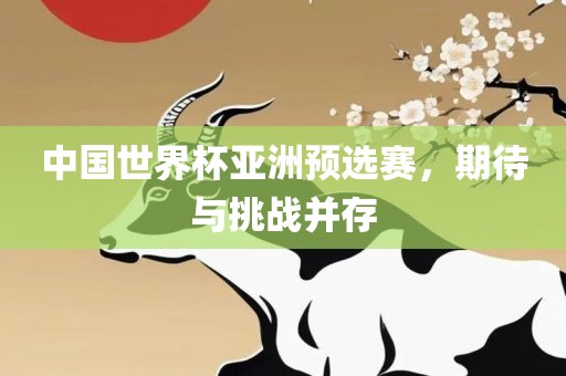 中国世界杯亚洲预选赛，期待与挑战并存