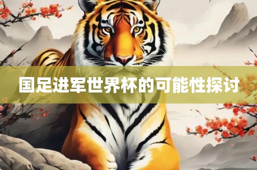 国足进军世界杯的可能性探讨