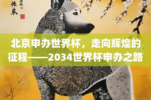 北京申办世界杯，走向辉煌的征程——2034世界杯申办之路丹东日丰电子有限公司