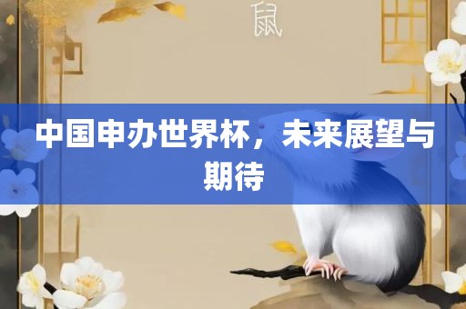 中国申办世界杯，未来展望与丹东日丰电子有限公司期待