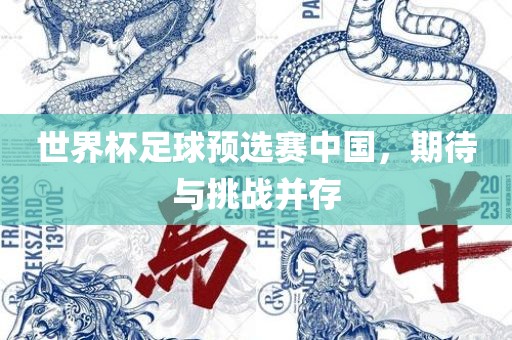 世界杯足球预选赛中国丹东日丰电子有限公司，期待与挑战并存