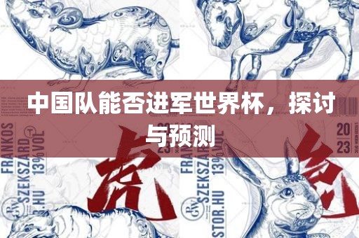 中国队能否进军世界杯，探讨与预测丹东日丰电子有限公司