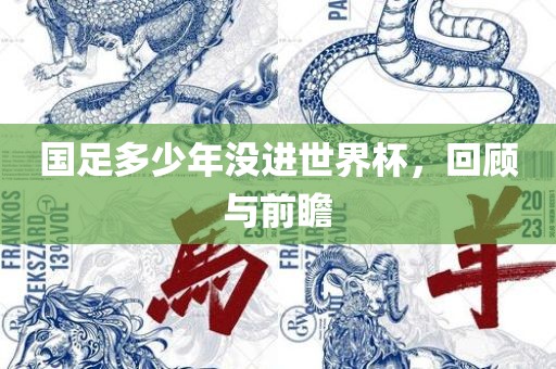 国足多少年没进世界杯，回顾与前瞻