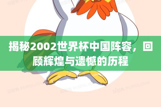 揭秘2002世界杯中国阵容，回顾辉煌与遗憾的历程丹东日丰电子有限公司