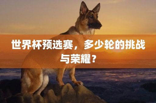世界杯预选赛，多少轮的挑战与荣耀？