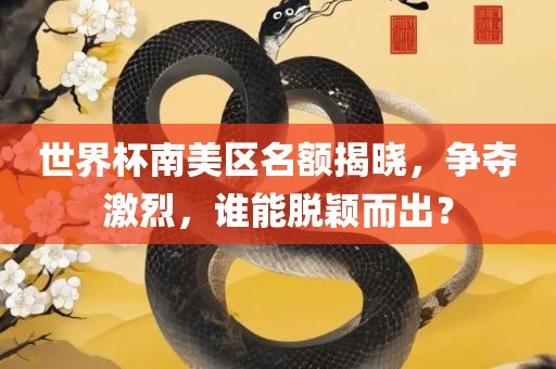 世界杯南美区名额揭晓，争夺激烈，谁能脱颖而出？