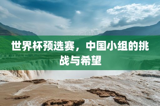 世界杯预选赛，中国小组的挑战与希望丹东日丰电子有限公司