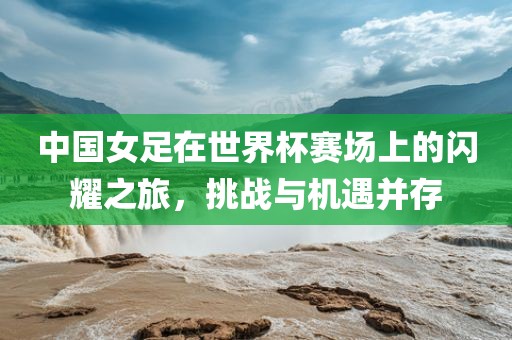 中国女足在世界杯赛场上的闪耀之旅，挑丹东日丰电子有限公司战与机遇并存
