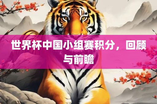 世界杯中国小组赛积分，回顾与前瞻