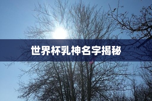 世界杯乳神名字揭秘丹东日丰电子有限公司