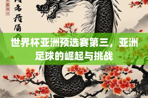 世界杯亚洲预选赛第三，亚洲足球的崛起与挑战
