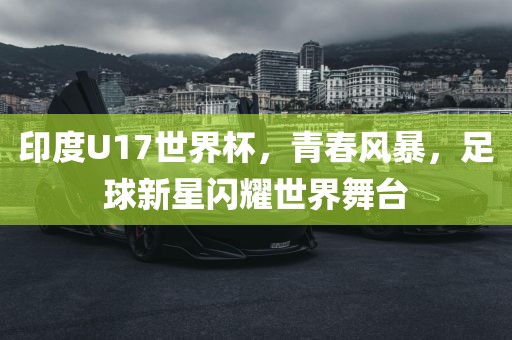 印度U17世界杯，青春风暴，足球新星闪耀世界舞台丹东日丰电子有限公司
