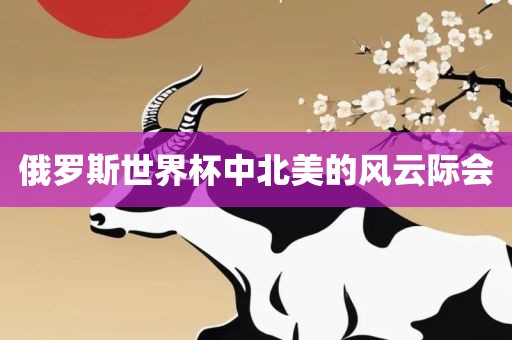 俄罗斯世界杯中北美的风云际会