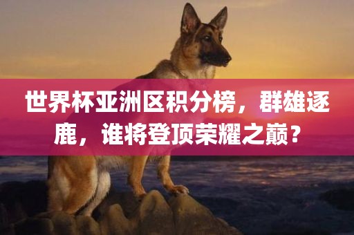 世界杯亚洲区积分榜，群雄逐鹿，谁将登顶荣耀之巅？丹东日丰电子有限公司