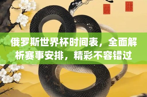 俄罗斯世界杯时间表，全面解析赛事安排，精彩不容错过