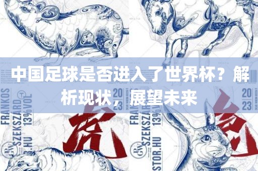 中国足球是否进入了世界杯？解析现状，展望未来丹东日丰电子有限公司