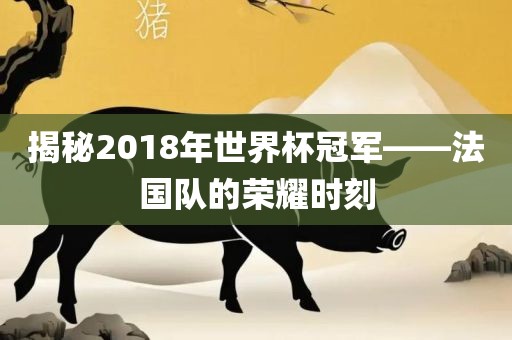 揭秘2018年世界杯冠军——法国队的荣耀时刻丹东日丰电子有限公司