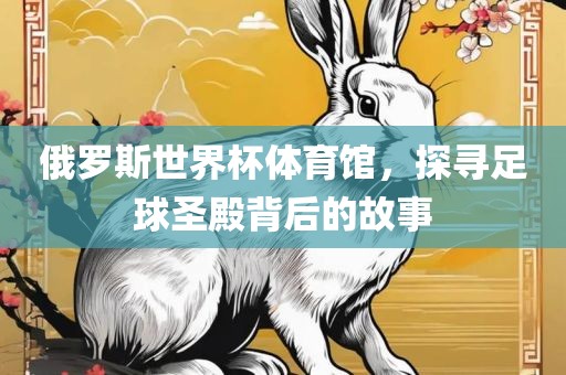 俄罗斯世界杯体育馆，探寻足球圣殿背后的故事