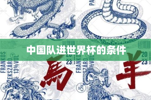 中国队进世界杯的条件