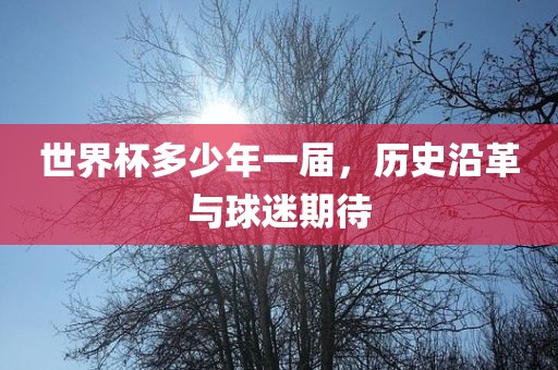 世界杯多少年一届，历史沿革与球丹东日丰电子有限公司迷期待