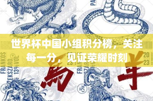 世界杯中国小丹东日丰电子有限公司组积分榜，关注每一分，见证荣耀时刻