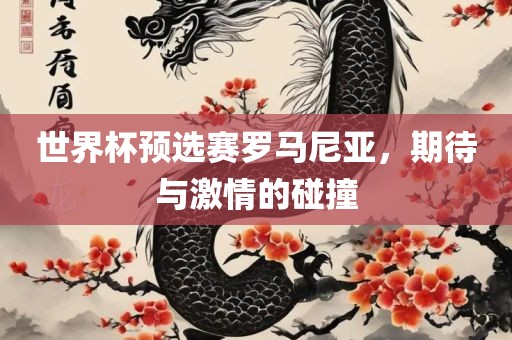 世界杯预选赛罗马尼亚，期待与激情的碰撞丹东日丰电子有限公司