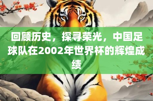 回顾历史，探寻荣光，中国足球队在2002年世界杯的辉煌成绩