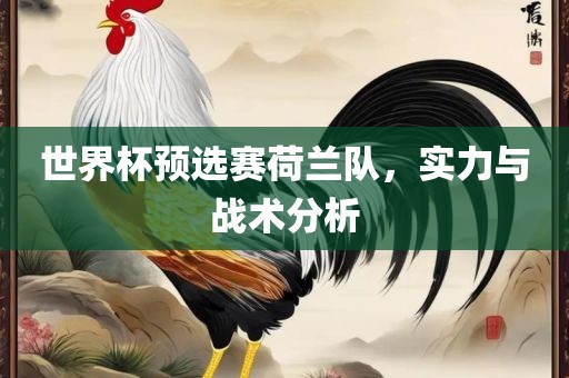 世界杯预选赛荷兰队，实力与战术分析丹东日丰电子有限公司