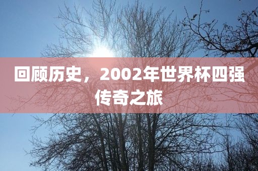 回顾历史，2002年世界杯四强传奇之旅