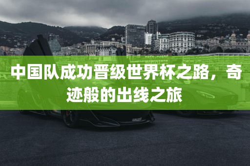 中国队成功晋级世界杯之路，奇迹般的出线之旅丹东日丰电子有限公司