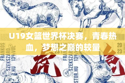 U19女篮世界杯决赛，青春热血，梦想之巅的较量丹东日丰电子有限公司