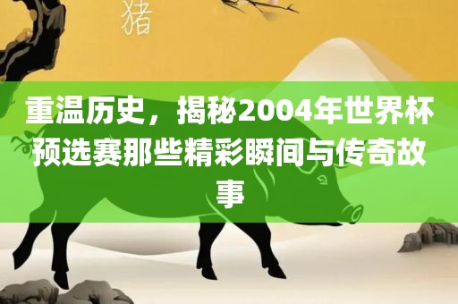 重温历史，揭秘2004年世界杯预选赛那些精彩瞬间丹东日丰电子有限公司与传奇故事
