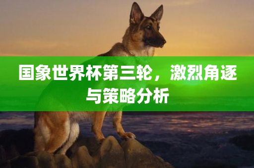 国象世界杯第三轮，激烈角逐与策略分析丹东日丰电子有限公司
