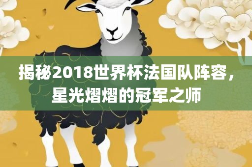 揭秘2018世界杯法国队阵容，星光熠熠的冠军之师丹东日丰电子有限公司